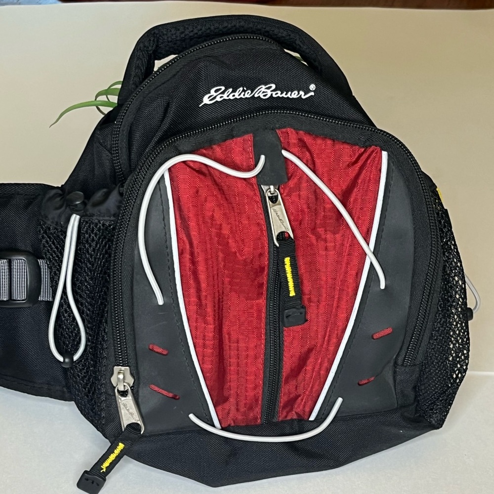 Eddie Bauer Fanny pack